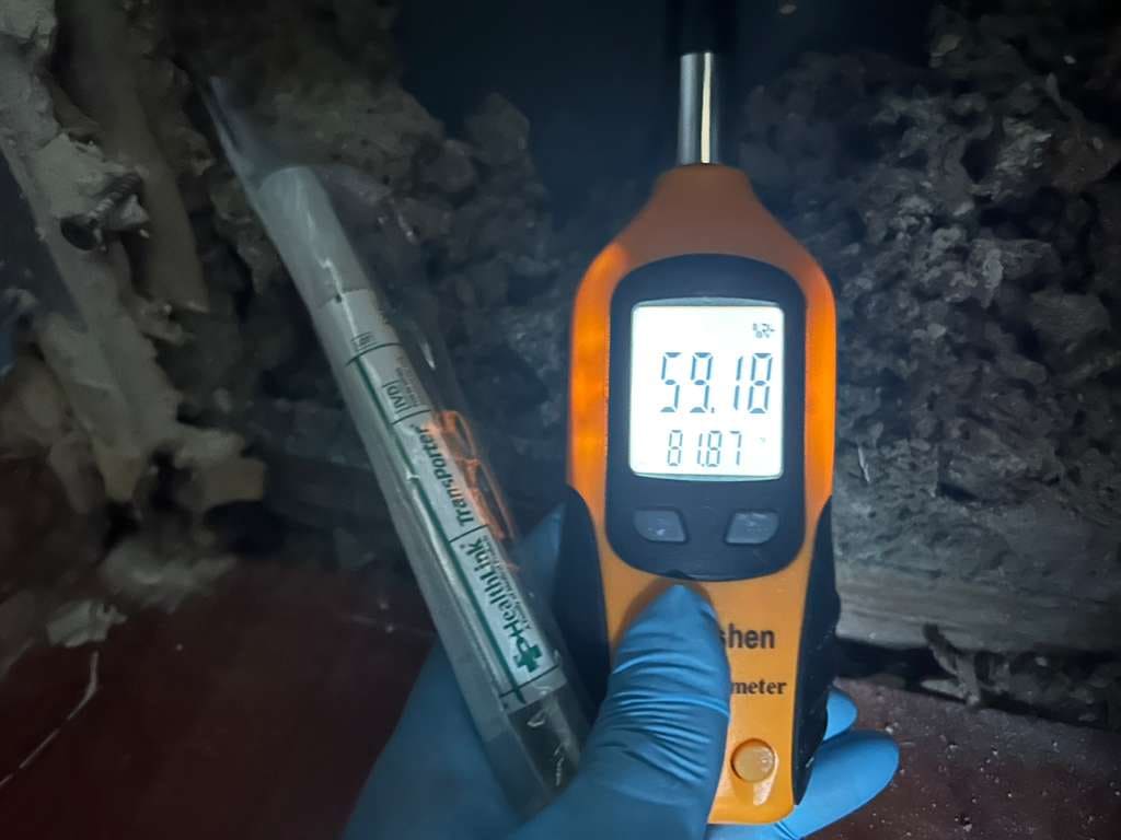 Mold Assessment Service-1
