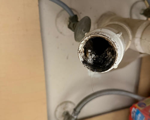 Water Damage Mitigation Service in Florida-3