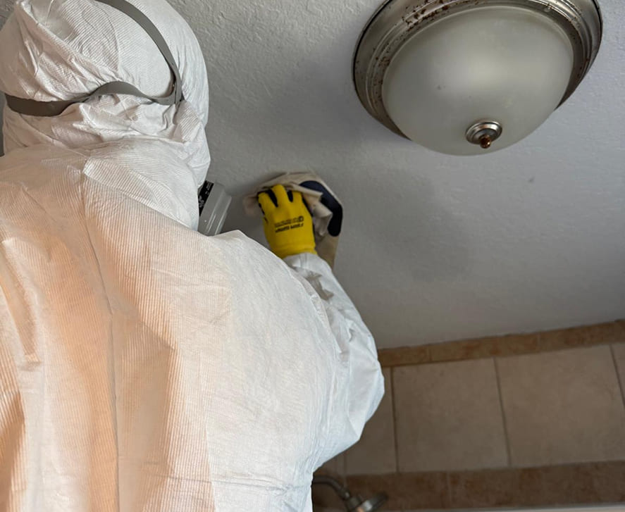 certified-mold-removal-technician-florida