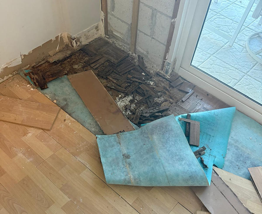 mold-remediation-florida 0