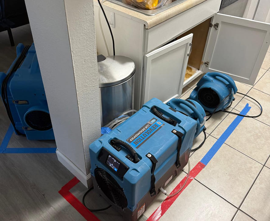 mold-remediation-florida 2